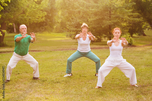 group of people practice Tai Chi Chuan in a park. Chinese management skill Qi's energy.