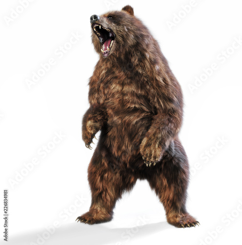 Large brown bear standing in an aggressive posture on an isolated white background. 3d rendering
 photo