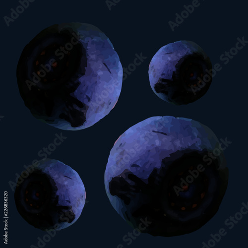 abstract blueberry