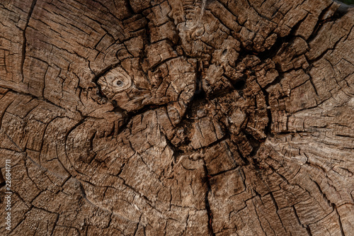 Foto Holzstruktur