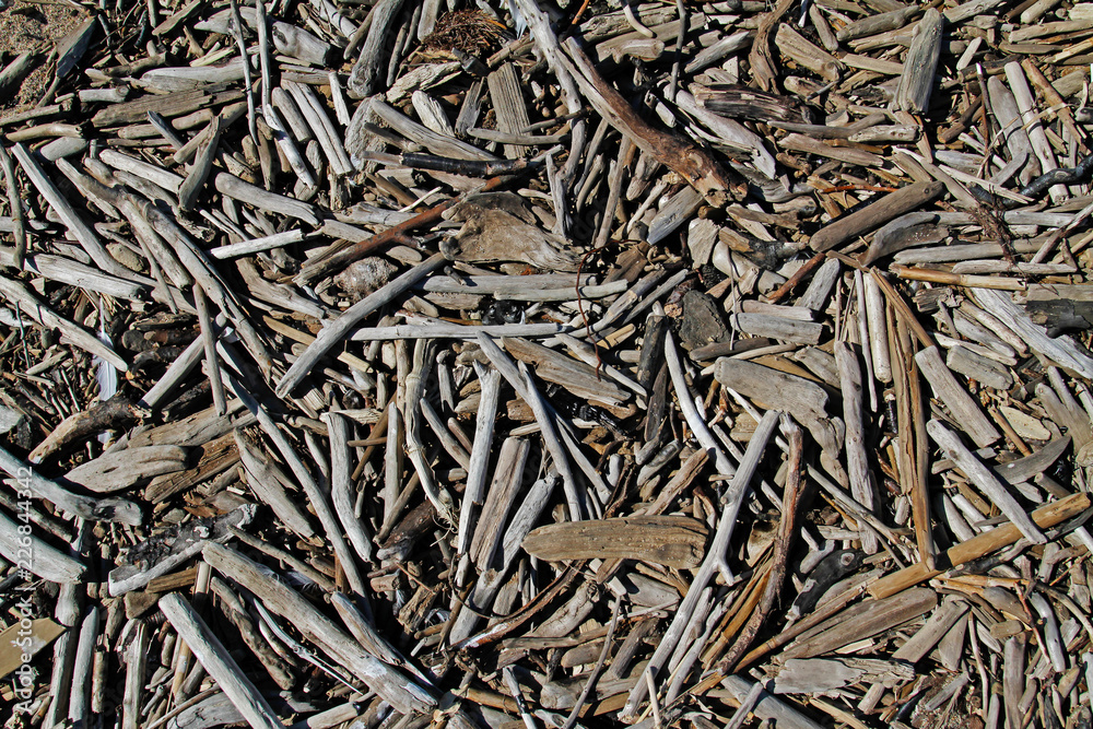 Wooden sticks on ground as background or texture Wooden sticks on ground as background or texture