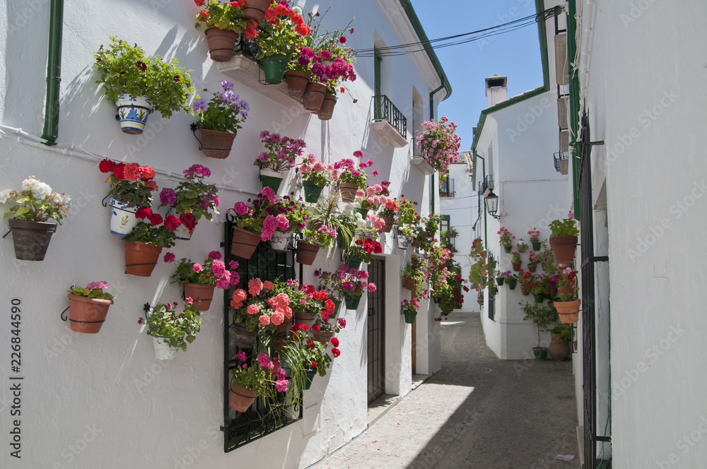 Naklejka premium Priego de Córdoba, Barrio de la Villa, Andalusien, Spanien