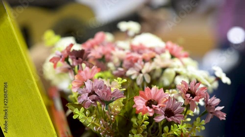 Flowers in the foreground and cavaquinho unfocused, video, flat plane photo