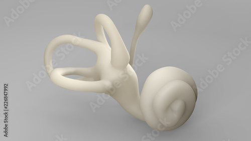 Inner Ear Labyrinth