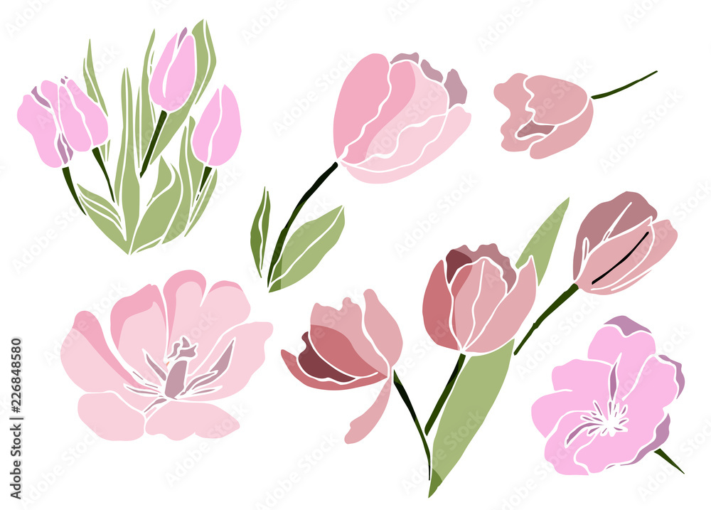 Tulip flowers in vector isolated on white