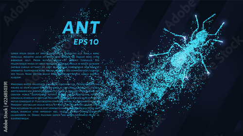 Ant of the particles. The ant consists of small circles