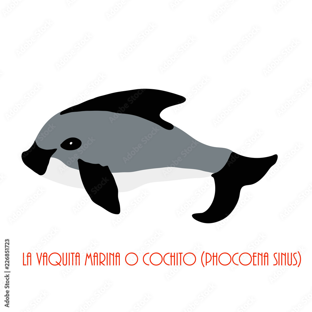Naklejka premium vaquita marina blue whale sealife vector illustration