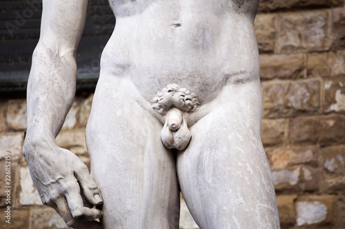 Part of replica of David statue at Palazzo Vecchio in Florence, Italy. photo