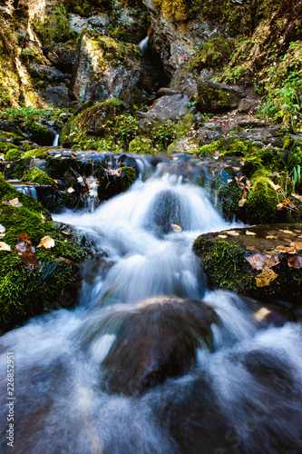 Mountain creek flowing through woods in the spring