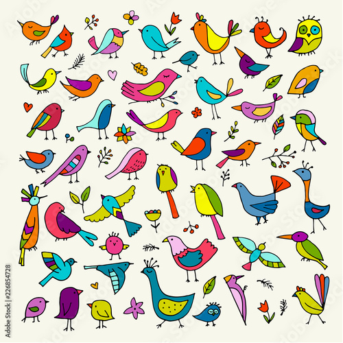 Birds collection, sketch for your design