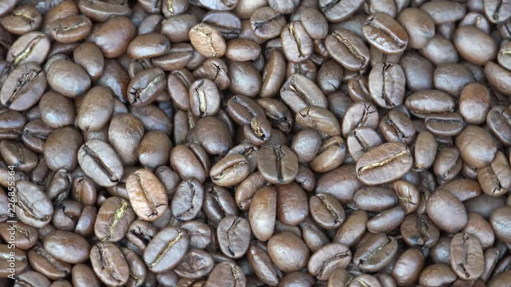 A coffee bean is a seed of the coffee plant and the source for coffee. It is the pit inside the red or purple fruit often referred to as a cherry. A coffee bean is a seed of the coffee plant and the source for coffee. It is the pit inside the red or purple fruit often referred to as a cherry.