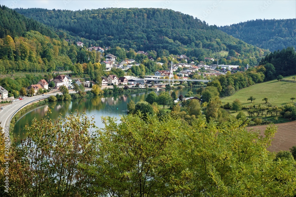 View from Zwingenberg castle over the Neckar river and the town