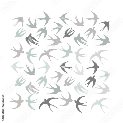 Swallows, background for your design