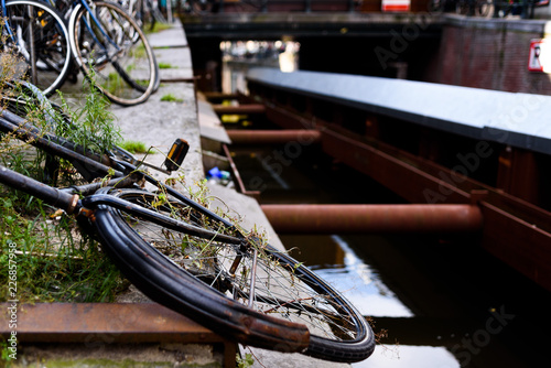 Abandoned Amsterdam Bicycle