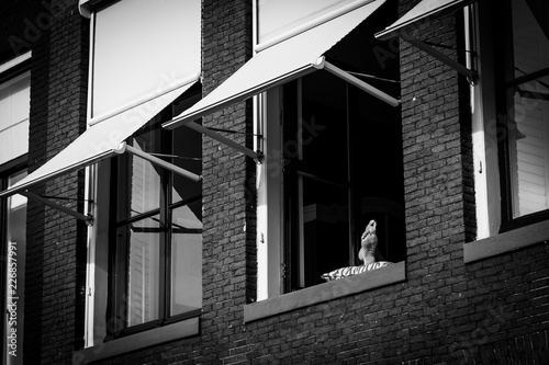Feet in the Window