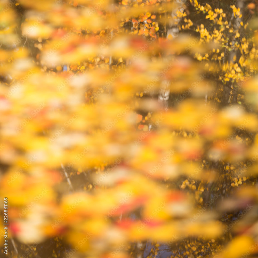 Abstract autumnal backgrounds for your design. Abstract autumnal backgrounds for your design.