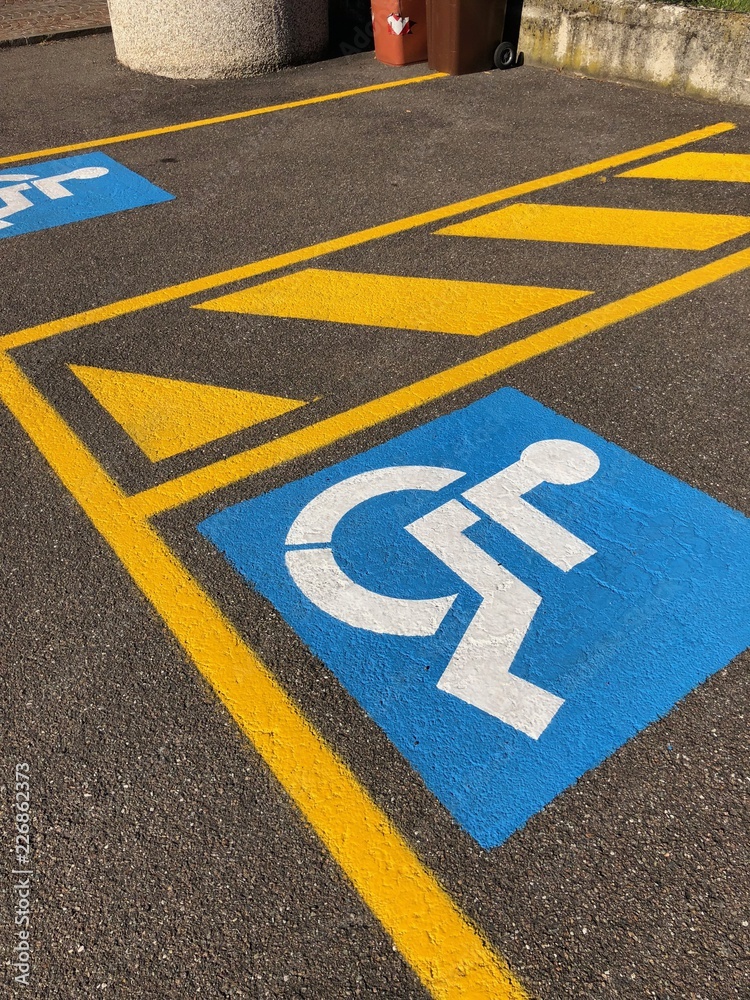 Adesivo 'Disabled Person Lives Here' In Inglese - 220x125mm - Vinile Impermeabile Per Esterni