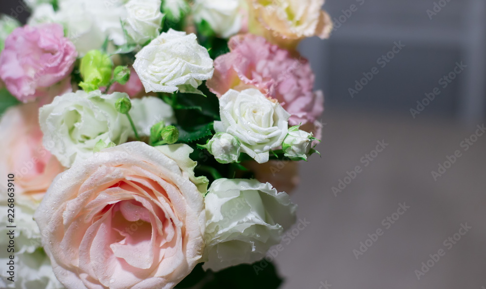 Flowers, white and pink roses, close up