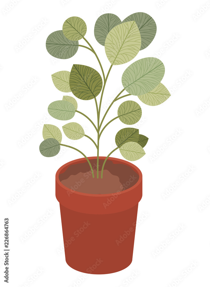house plant pot isolated icon house plant pot isolated icon