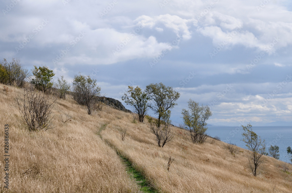 Hills of Sevan / Sunburnt vegetation on the banks of Sevan lake, Armenia