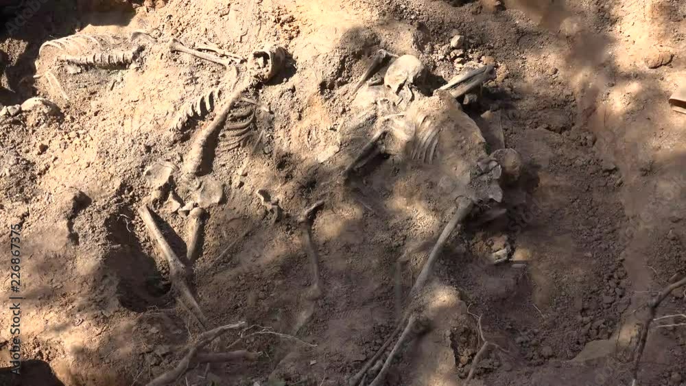 A mass grave is a grave containing multiple human corpses, which may or may not be identified prior to burial. A mass grave is a grave containing multiple human corpses, which may or may not be identified prior to burial.