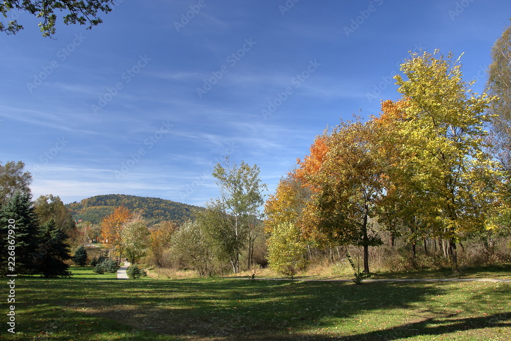 Early autumn in park, trees with colorful foliage, field, hill in background, sidewalk. Early autumn in park, trees with colorful foliage, field, hill in background, sidewalk.