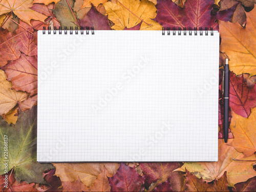 Autumn maple leaves with blank opened notebook and pen