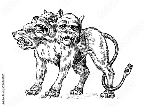 Cerberus three headed dog. Mythical Greek antique monster. Mythological animal. Fantastic creatures in the old vintage style. Engraved hand drawn old sketch.