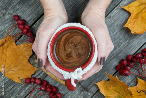 Female hands holding cup of autumn coffee. Wool cloth mug