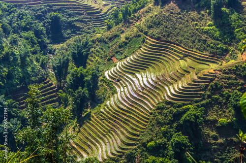Amazing view on rice terrace in Sapa village, Vietnam