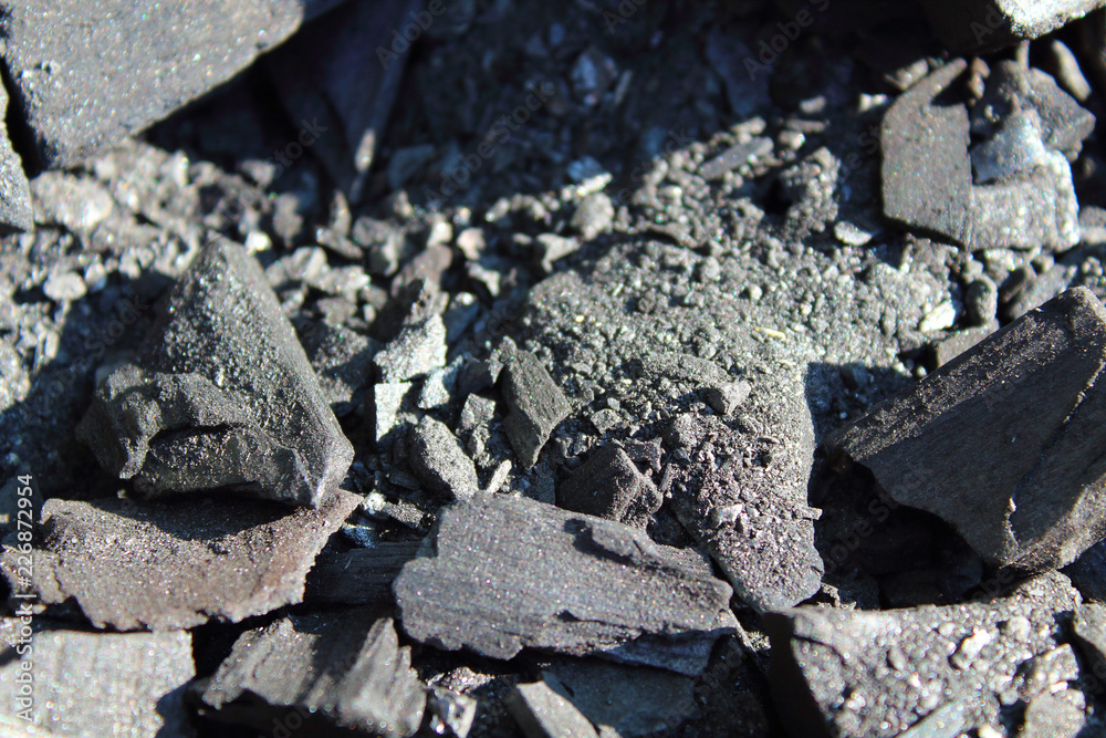 Fototapeta premium Black dry charcoal. Close-up. Background. Texture.