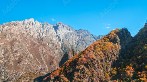 Colorful autumn landscape in the Caucasus mountains, colorful forest in Kazbegi, Georgia © k_samurkas