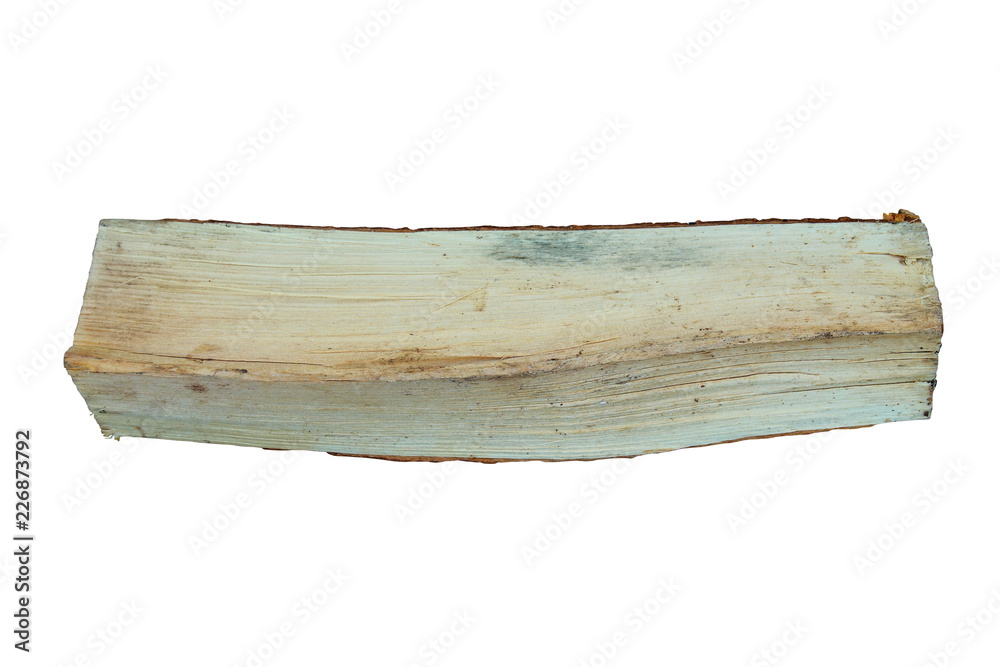 Fototapeta premium Birch wood log. Close-up. Isolated object on white background. Isolate.