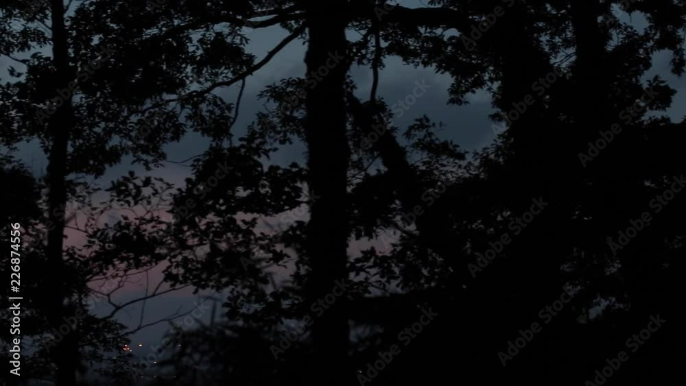 dark woods and sunset sky 7(夕方の森と空) dark woods and sunset sky 7(夕方の森と空)