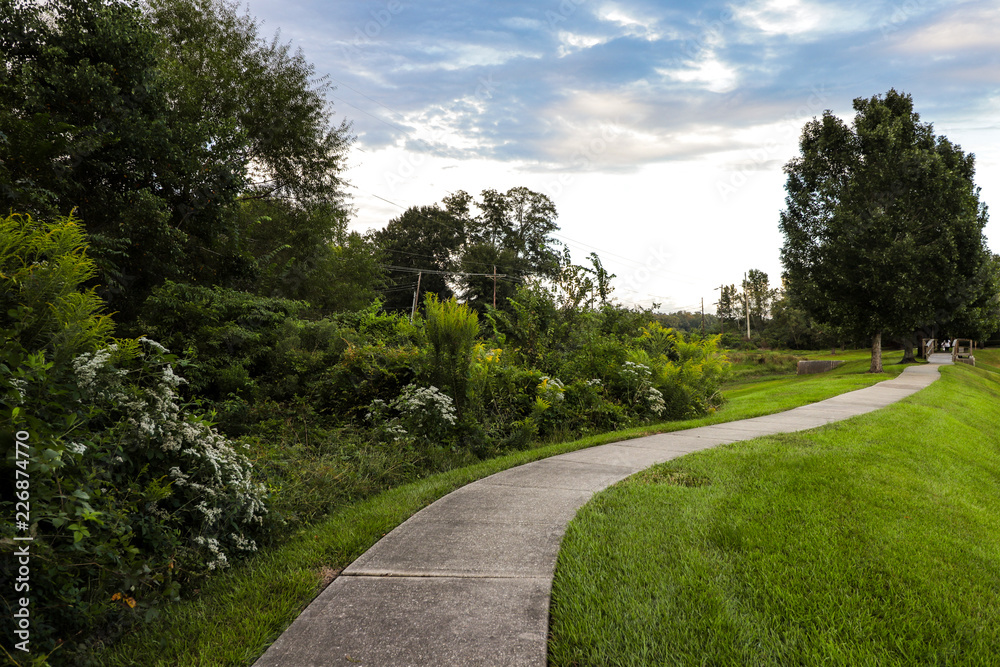 path in the park path in the park