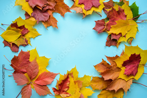 Frame of autumn leaves on blue background