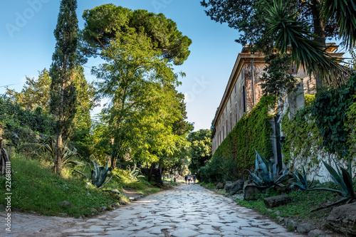 The Appian way, Via Appia Antice photo