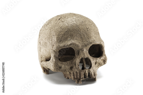 Halloween skull isolated on white background