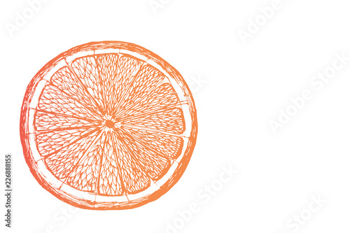 Vector fresh ripe slice of orange on white. Healthy food logo