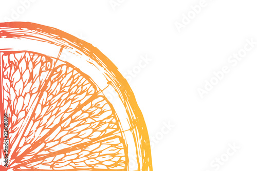 Vector fresh ripe slice of orange on white. Healthy food logo