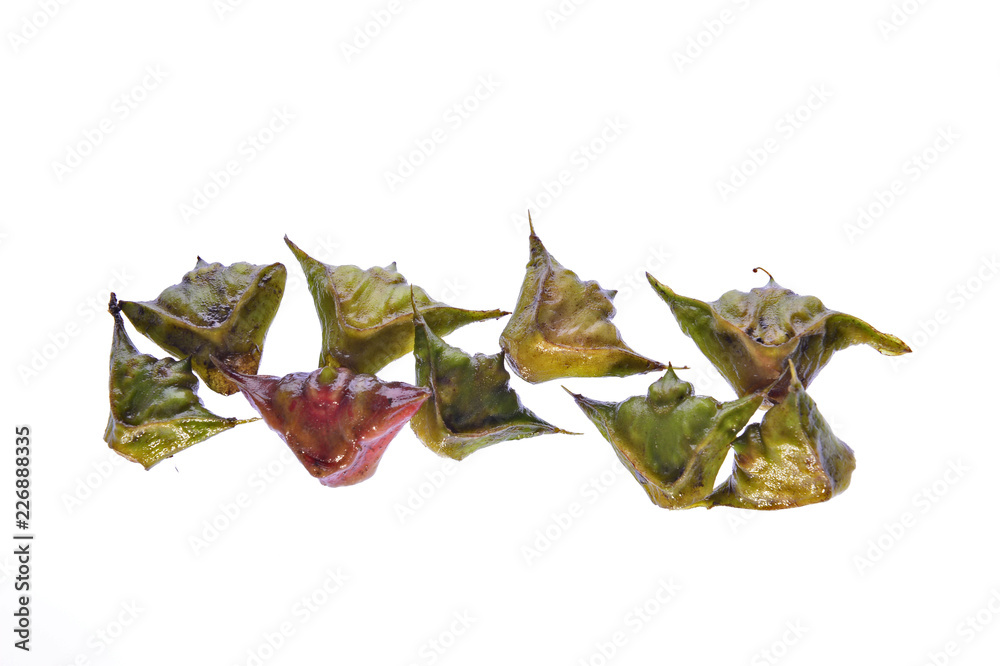 Fototapeta premium Water chestnut isolated on a white background