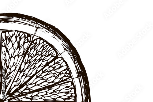 Orange slice on white background. Hand-drawn, doodle, vector, zentangle, tribal design element. Black and white background. Made by trace from sketch. Coloring book page for adult.