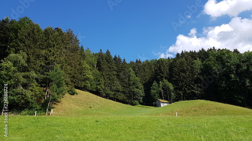 Einsame Holzh  tte am Waldrand in der Schweiz