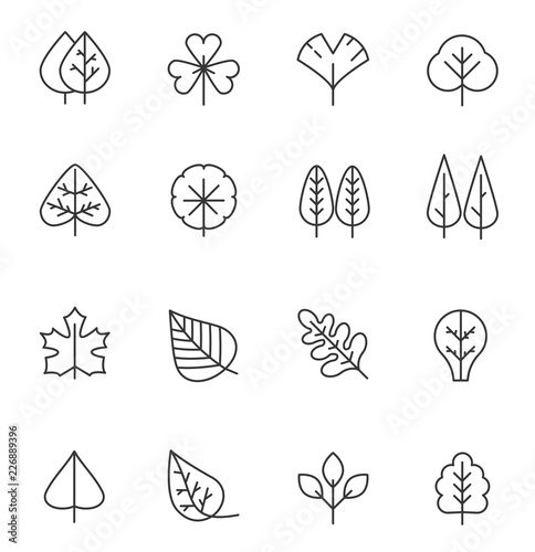 Tree and leaf line icons set. Natural stroke symbol, wooden trunk and outline branches for map.