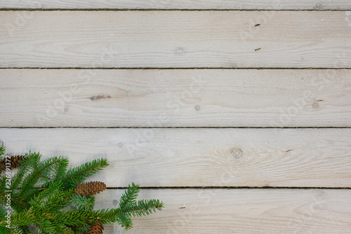 Holiday border with greenery in the bottom left corner with copy space