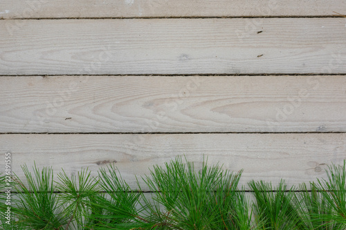A textured background of whitewasshed rough hewn lumber and greenery with copy space