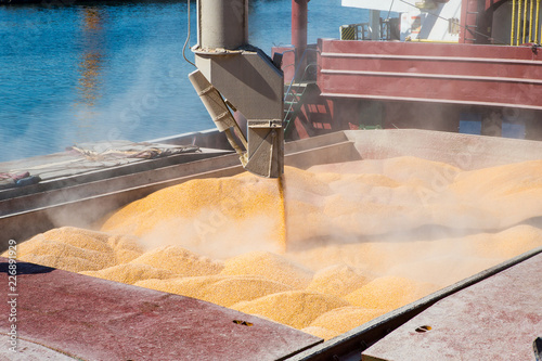 Obraz na plátně Corn in bulk carrier hold