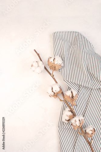 Minimal autumn decor concept - Dried cotton branch on Crumpled Striped Napkin, white background.