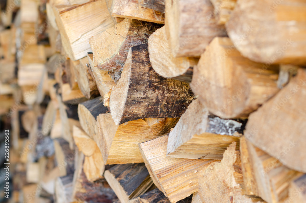 pine wood pile pine wood pile