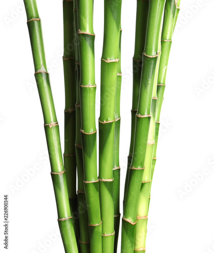 Fototapeta Naklejka Na Ścianę i Meble -  Beautiful green bamboo stems on white background
